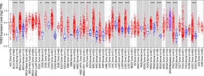 TRIB3, as a robust prognostic biomarker for HNSC, is associated with poor immune infiltration and cancer cell immune evasion